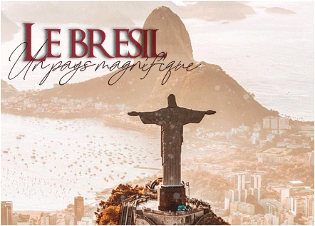 /public/2020/Fevrier/Bresil.gif