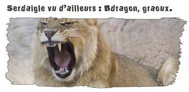Serd_vu_d_ailleurs.jpg